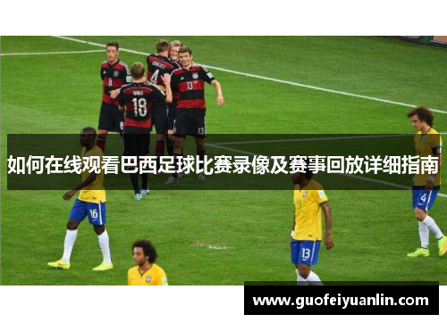 如何在线观看巴西足球比赛录像及赛事回放详细指南