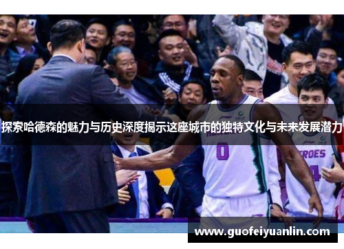 探索哈德森的魅力与历史深度揭示这座城市的独特文化与未来发展潜力